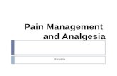 Pain management analgesia review