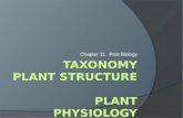 Plants - Taxonomy, Structure, and Physiology