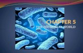 Chapter 5 - The Microbial World