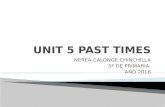 Unit 5 past times