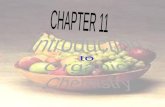 Chapter11 introduction of organic chemistry