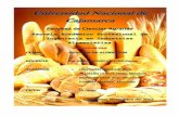 Analisis de pan