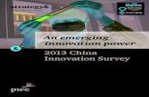 2013 China Innovation Survey An emerging innovation power