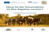 How to be Innovative in the Equine sector? (pdf)