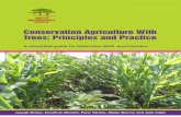 Conservation Agriculture With Trees: Principles and Practice