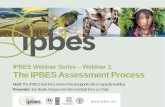 The IPBES Assessment Process