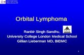 Orbital Lymphoma