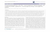 Characterisation of the nociceptive phenotype of suppressible ...