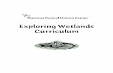 Preview or print the Exploring Wetlands Curriculum Guide.