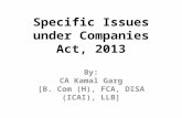 Specific Issues under Companies Act, 2013 (CA Kamal Garg)
