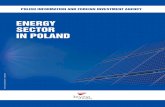 ENERGY SECTOR IN POLAND
