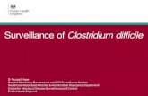 Surveillance of Clostridium difficile