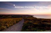 Seascape character area report