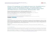 Nano-Coupling of Cephalosporin Antibiotics with Fe3O4 ...