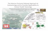 The Adverse Outcome Pathway Approach to Ecotoxicology and Its ...
