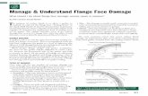 Manage & Understand Flange Face Damage