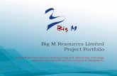 Big M Resources Limited Project Portfolio
