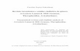 Revisão taxonômica e análise cladística do gênero Avicularia ...