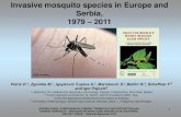 Invasive mosquito species in Europe and Serbia, 1979 – 2011