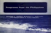 Seagrasses from the Philippines
