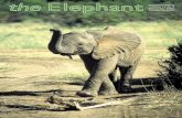"the Elephant"11.4.indd