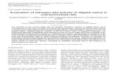 Evaluation of estrogen-like activity of Nigella sativa in ...