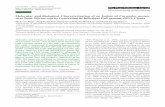 Molecular and Biological Characterization of an Isolate of Cucumber ...
