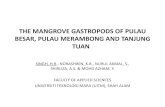 Pembentangan 18 : The Mangrove Gastropods Of Pulau Besar ...