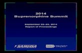 2014 Buprenorphine Summit Report of Proceedings (PDF | 2.96 MB)