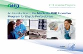 An Introduction to the Medicare EHR Incentive Program for Eligible ...