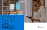 Microsoft cloud big data strategy