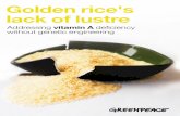 Golden rice's