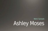 Ashley Moses Work Sample Final