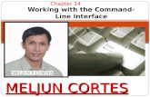 MELJUN CORTES computer organization_lecture_chapter14_command_line