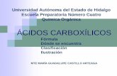 ACIDOS CARBOXILICOS.pdf