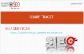 Online SharpTarget Consulting Services