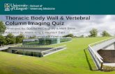Spine and Thoracic Body Wall Imaging Quiz