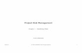 Basic knowledge about project risk and risk management