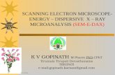 Scanning Electron Microscope- Energy - Dispersive X -Ray Microanalysis (Sem E-dax)