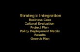Strategic project integration
