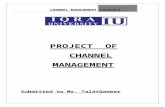 COCA COLA Channel Management Report