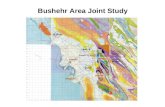 Bushehr Joint Study Blocks
