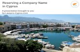 Reserving a Company Name in Cyprus
