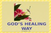 Godâ€™s healing way 16