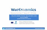 Waternomics: Overview of the Pilots Objectives, Measures and Outcomes