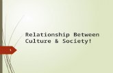 Relationship between culture and society