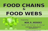Food Chains and Food Webs (by: NPMendez)