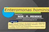 Enteromonas hominis