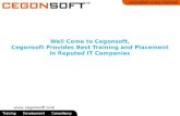 Cegonsoft private limited