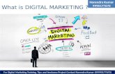 Digital Marketing Training and Tips Overview Strategies Process Operations SEO SMO Blogging and Google Adsense
